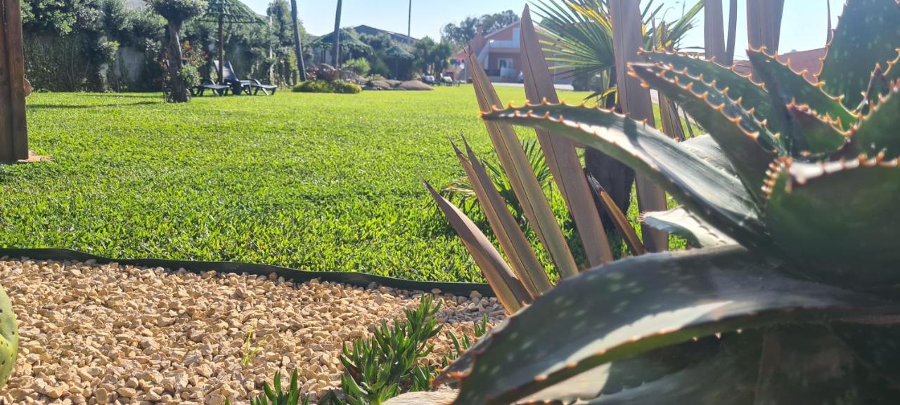 Hollidays Dreams Villa Povoa de Varzim Bagian luar foto