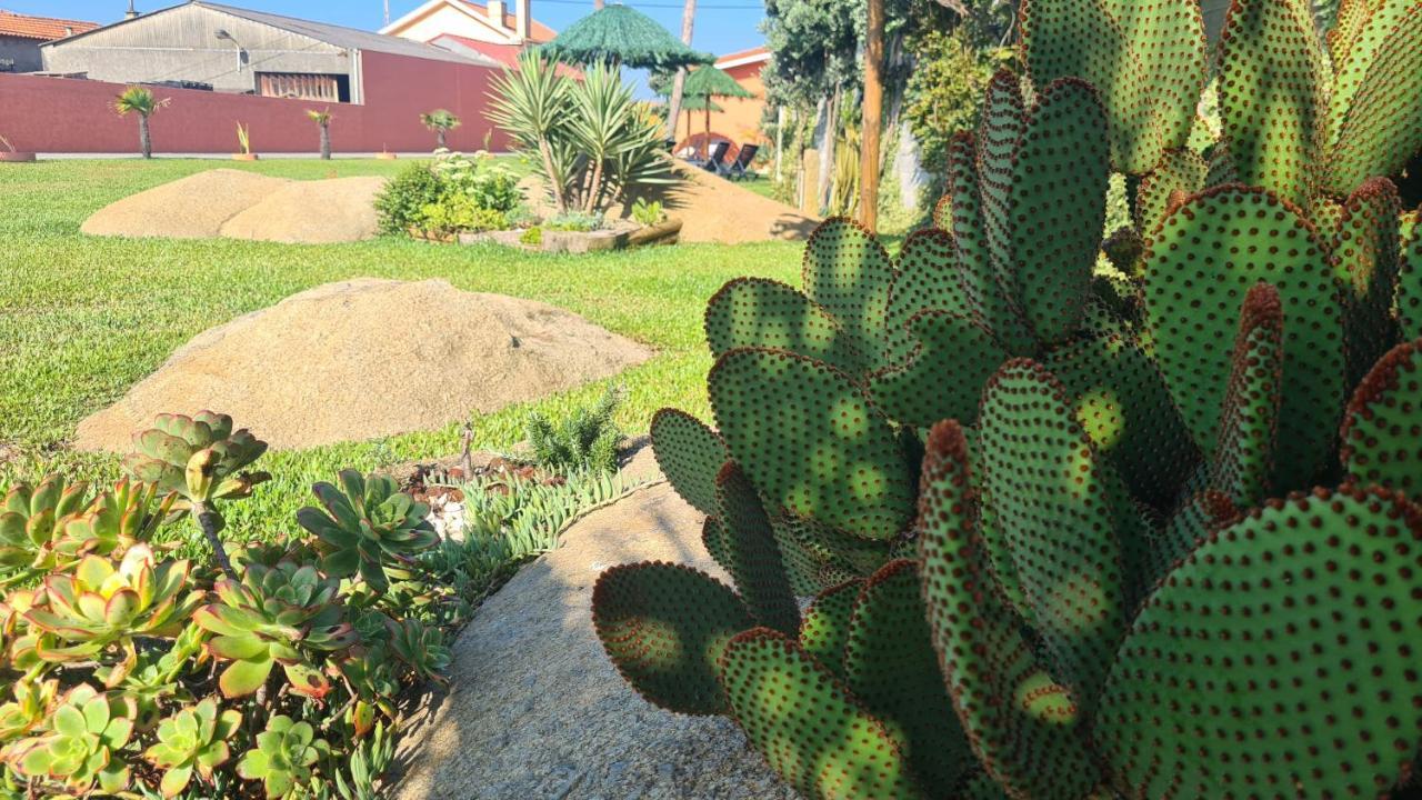 Hollidays Dreams Villa Povoa de Varzim Bagian luar foto