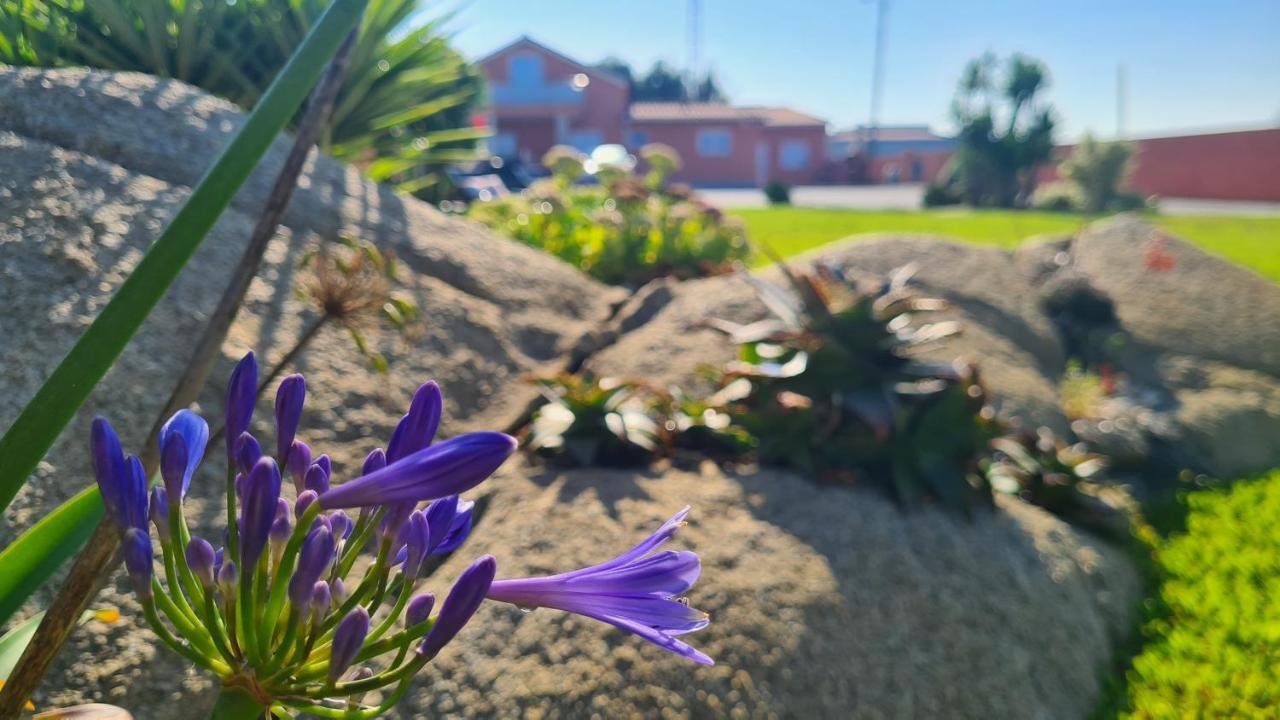 Hollidays Dreams Villa Povoa de Varzim Bagian luar foto