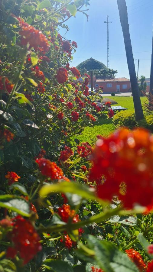 Hollidays Dreams Villa Povoa de Varzim Bagian luar foto