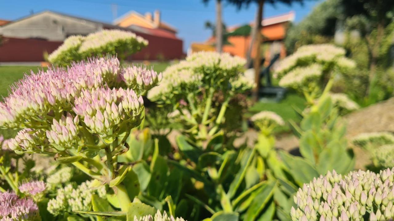 Hollidays Dreams Villa Povoa de Varzim Bagian luar foto